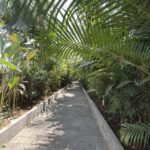 villa lotus jimbaran jardin 1