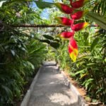 villa lotus jimbaran jardin 5 scaled