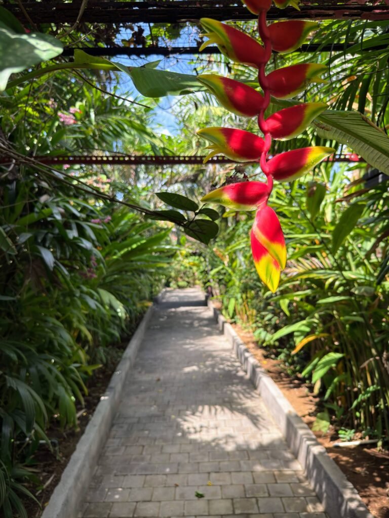 villa lotus jimbaran jardin 5 scaled