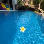 villa lotus jimbaran piscine fleur
